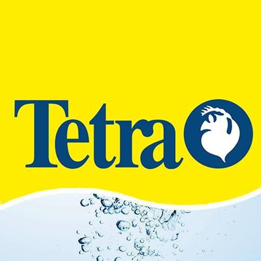 tetra